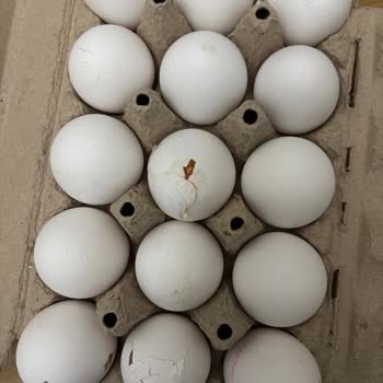 Şok Marketten Çatlak Yumurta, Sünger Gibi Salatalık Ve Geçmiş Ürünler