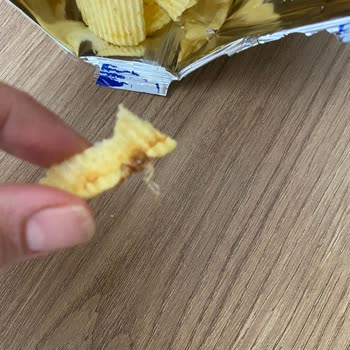 Cipso Original Cipsinde Böcek Bulunması Hijyen Ve Güven Sorunu