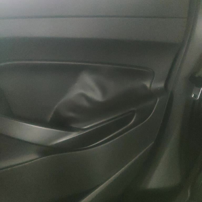 Ford Kuga 2019 Arka Kapı Kolunda Deri Çözülmesi İçin Ücretsiz Onarım Talebi
