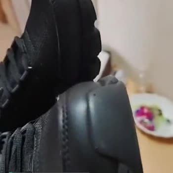 Lescon Giyilmiş Ayakkabı, Hayal Kırıklığı