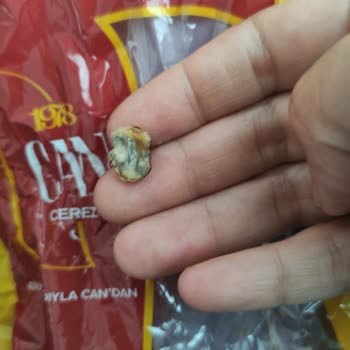 Çiğ Fındıkta Sürekli Acı Ve Bayat Tat, Kuru İncirde Kurtlanma Sorunu