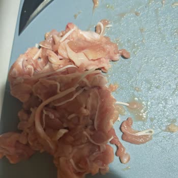 Tazem Piliç’in Sert Ve Beyaz Pirzola Etinde Kalite Sorunu