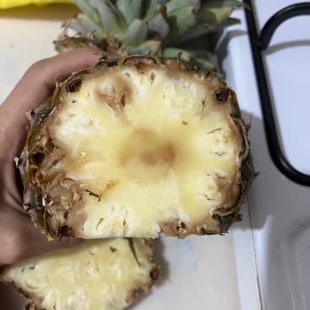 Yemeksepeti'nde Çürük Ananas, Yanıtsız Şikayet Ve İade Talebi