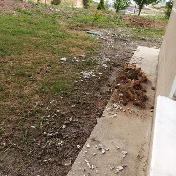 Kiptaş Çatalca’da Foseptik Taşması Ve Cevapsızlık Sebebiyle Evimiz Su Basıyor