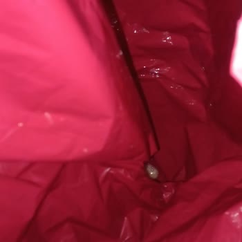 Hasarlı Bebek Deterjanı Ve Yumuşatıcının Teslimatı, Müşteri Hizmetlerinden Cevap Gelmemesi