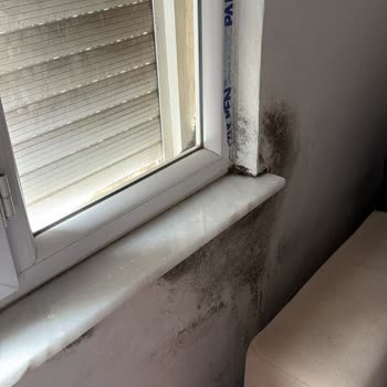 Rutubet Ve Küf Sorunları İle Balkon Çatlakları İçin Acil Çözüm Talebi