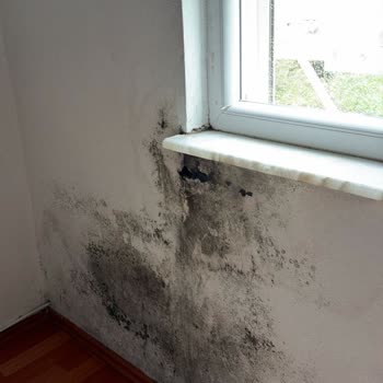 Rutubet Ve Küf Sorunları İle Balkon Çatlakları İçin Acil Çözüm Talebi