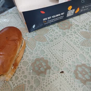 Four Combo Menüsünde Böcek Tespiti Ve Migros Yemek'ten Yanıt Gelmemesi