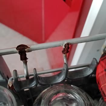 LG Bulaşık Makinesinde Sepetlerin Hızlı Küflenmesi Ve Ücretsiz Değişim Talebi