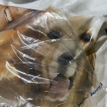 Delinmiş Paket Ve Bozulmuş Köpek Maması İçin İade Talebi