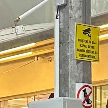 Köpekle Girilemez Levhası Ve Köpek Sandalyesi Çelişkisi Müşterileri Kafası Karıştırıyor