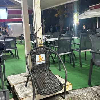 Köpekle Girilemez Levhası Ve Köpek Sandalyesi Çelişkisi Müşterileri Kafası Karıştırıyor