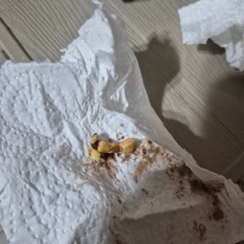 Sağlık Riskine Neden Olan Ogaş Helvasında Taş Gibi Cisim Çıktı