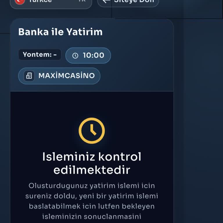 Maximcasino Vip Havale Depozitosu 50 Dakikada Gecikti, Destek Yardımsız