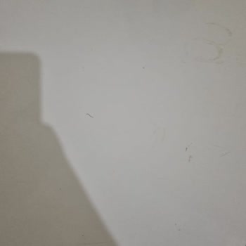 Airbnb Host Refused to Help After We Found the Apartment Unsanitary