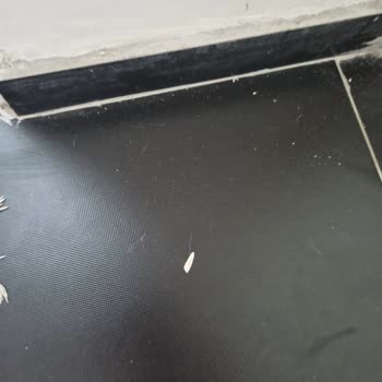 Airbnb Host Refused to Help After We Found the Apartment Unsanitary