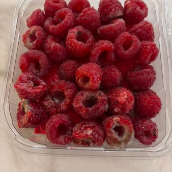 Küflü Ahududular İçin Hızlı İade Ve Açık Özür Talebi