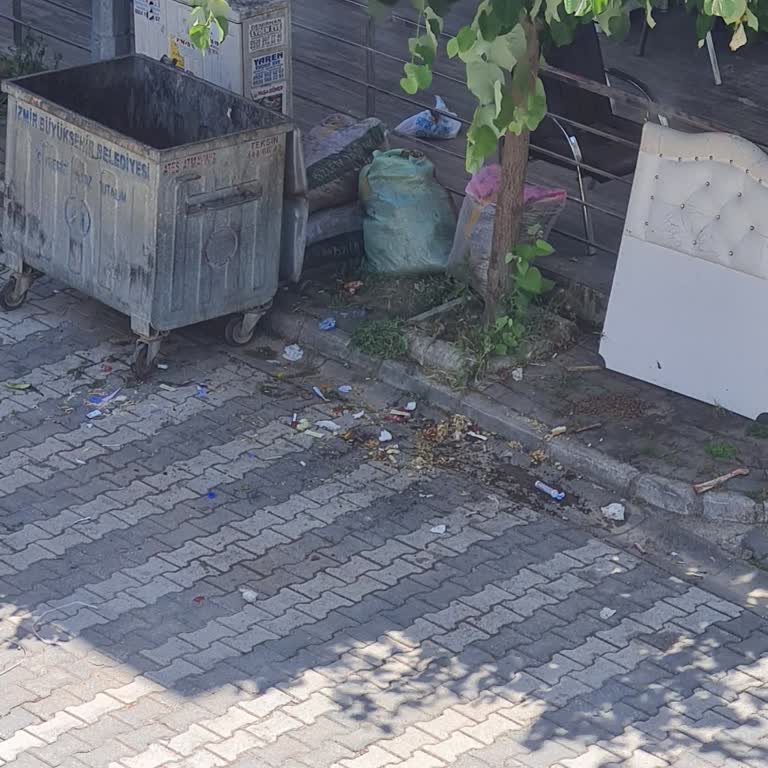 Çöp Varili Yokluğu 50. Yıl Caddesi’ni Ve Okul Sokak’ı Kötü Kokuya Boğuyor