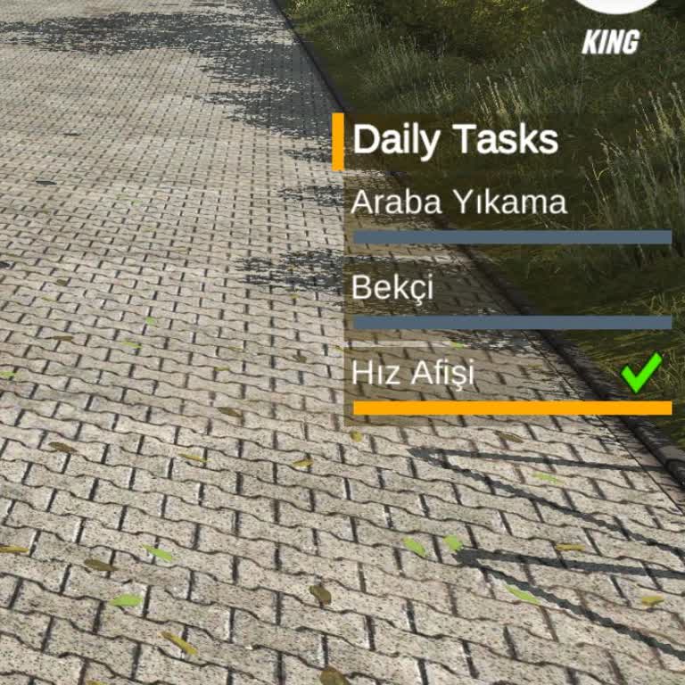 Car Parking Multiplayer Hesabımdan Tüm Çizimli Ve Paralı Araçlar Silindi, King Rütbem Kayboldu