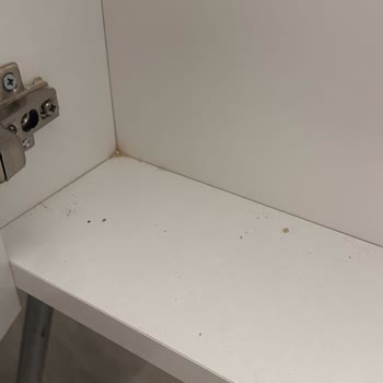 White Shine Cleaning Öncesi Ve Sonrası Diye Çektiğim Fotoğraflar Neredeyse Birebir Aynı