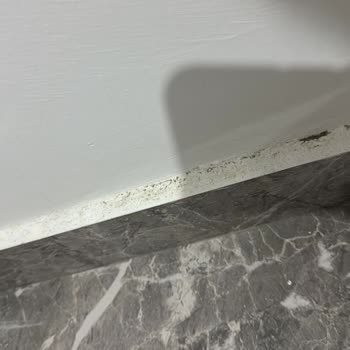 White Shine Cleaning Öncesi Ve Sonrası Diye Çektiğim Fotoğraflar Neredeyse Birebir Aynı