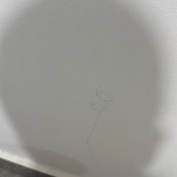 White Shine Cleaning Öncesi Ve Sonrası Diye Çektiğim Fotoğraflar Neredeyse Birebir Aynı