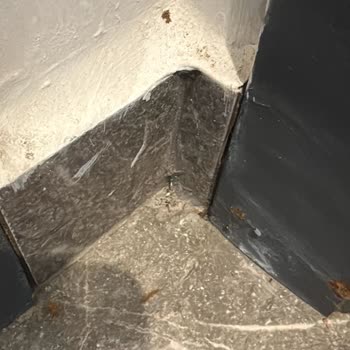 White Shine Cleaning Öncesi Ve Sonrası Diye Çektiğim Fotoğraflar Neredeyse Birebir Aynı