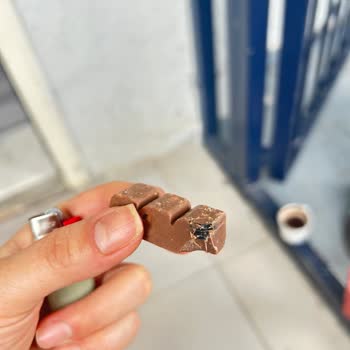 Rossmann'dan Alınan Beyoğlu Mini Çikolata İçinde Plastik Parça Çocuğa Tehlike