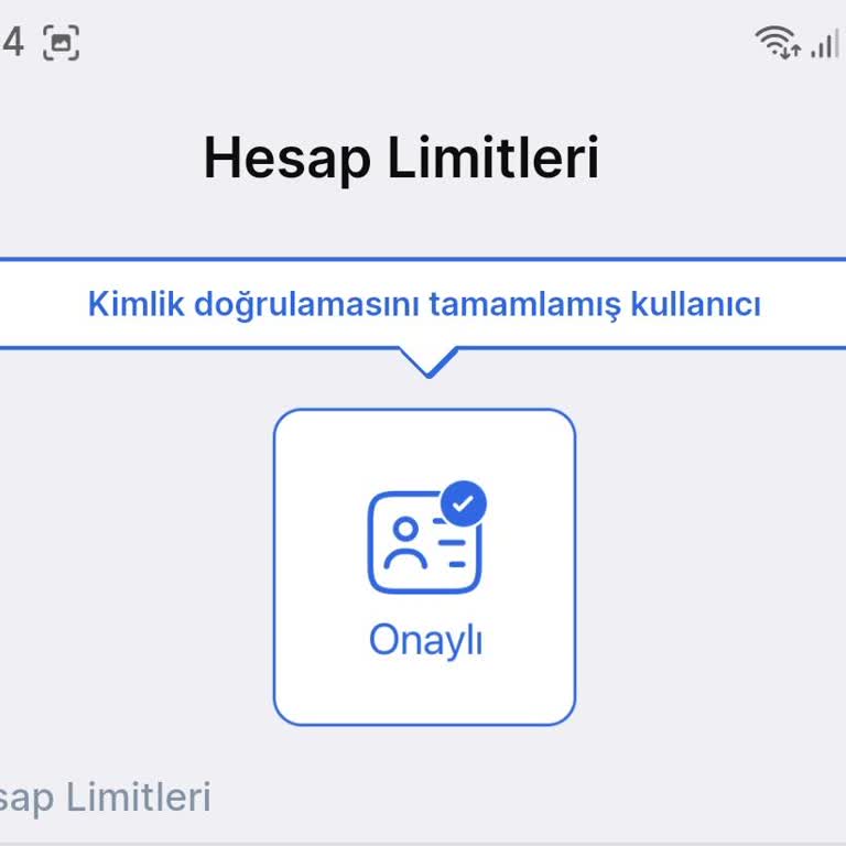 Tamamlanmış Doğrulamalara Rağmen Proflex Bakiyemin Blokeli Olması Ve Destek Erişimi Sorunu