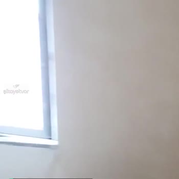Polisan'ın Kalitesizliğinden Şikayetçiyiz
