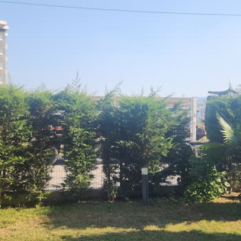 Eki aç