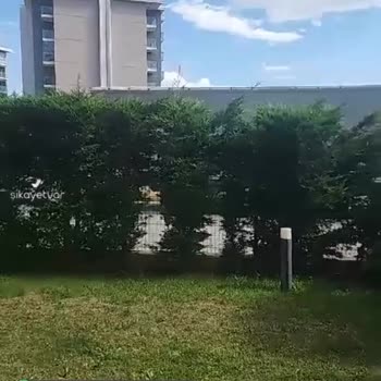 Sokağa Dorse İle Tır Park Edilmesi Ve Görüşümü Engellemesi!