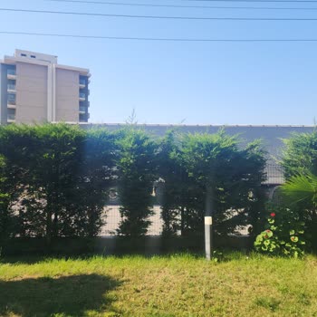 Eki aç