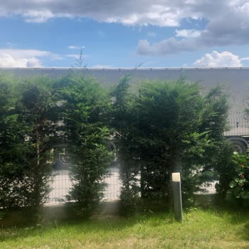 Torbalı’da Ev Önüne Ağır Tonajlı Tır Park Edilmesi Güvenlik Sorunu