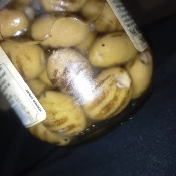 BİM'den Bozulmuş Izgara Zeytin, Küf Ve Parçalanmış Ürün