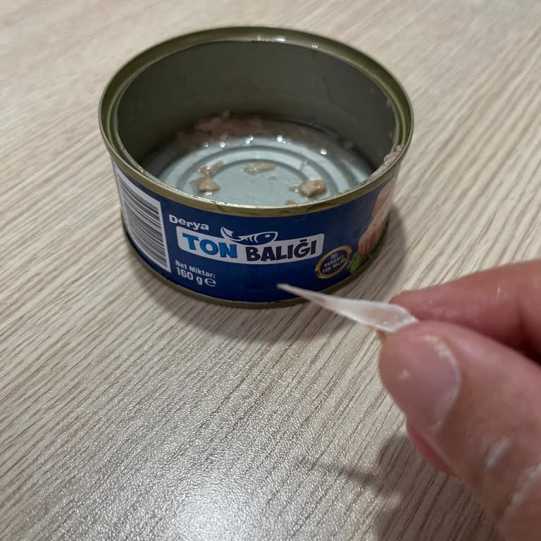 Ton Balığında Kılçık Bulunması Çocuk Sağlığına Risk Oluşturuyor