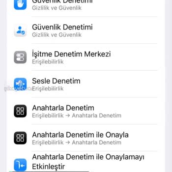 Gig Sigorta'nın Eseri