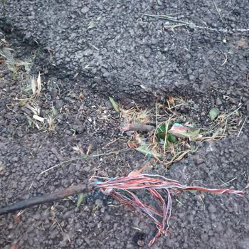 Kablodaki Hasar Nedeniyle 3 Hafta Süren İnternet Kesintisi Ve Çözüm Bekleniyor