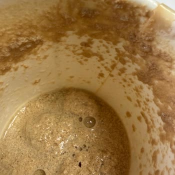 Starbucks Kahvesinde Süt Kesildiği İçin İade Talebi