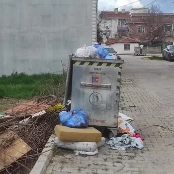 Cam Önündeki Çöp Konteyneri Nedeniyle Yaşam Kalitesinin Düşmesi Ve Kalıcı Çözüm Talebi