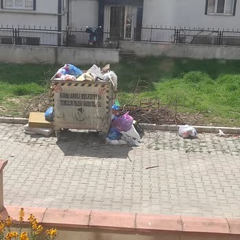 Cam Önündeki Çöp Konteyneri Nedeniyle Yaşam Kalitesinin Düşmesi Ve Kalıcı Çözüm Talebi