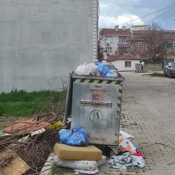 Cam Önündeki Çöp Konteyneri Nedeniyle Yaşam Kalitesinin Düşmesi Ve Kalıcı Çözüm Talebi