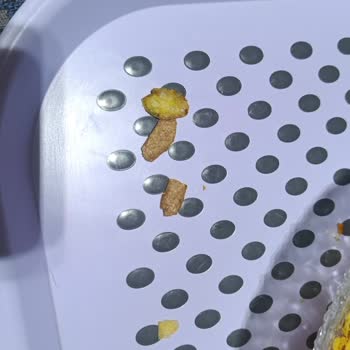 Seykar Patates Cipsinde Yabancı Madde Bulunması