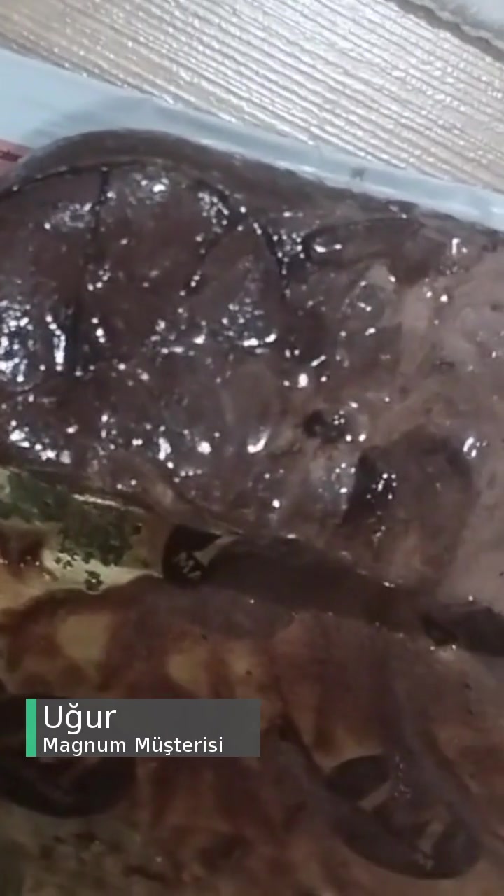 Magnum Bizi Üzdü, Hayal Kırıklığı videonun kapak resmi