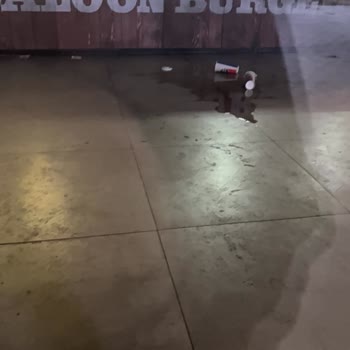 Saloon Burger Esenler Şubesinde 50 Dakikada Hazırlanan Siparişte Hijyen Ve Servis Sorunları