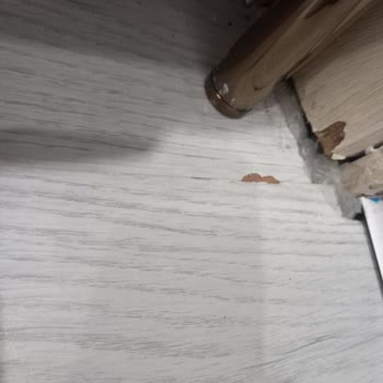 Bellona Garanti Kapsamındaki Metal Ayakların Paslanması Ve Mağaza İhmali