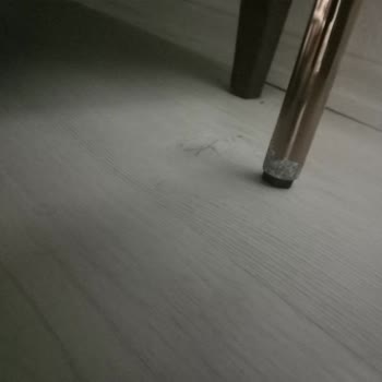 Bellona Garanti Kapsamındaki Metal Ayakların Paslanması Ve Mağaza İhmali