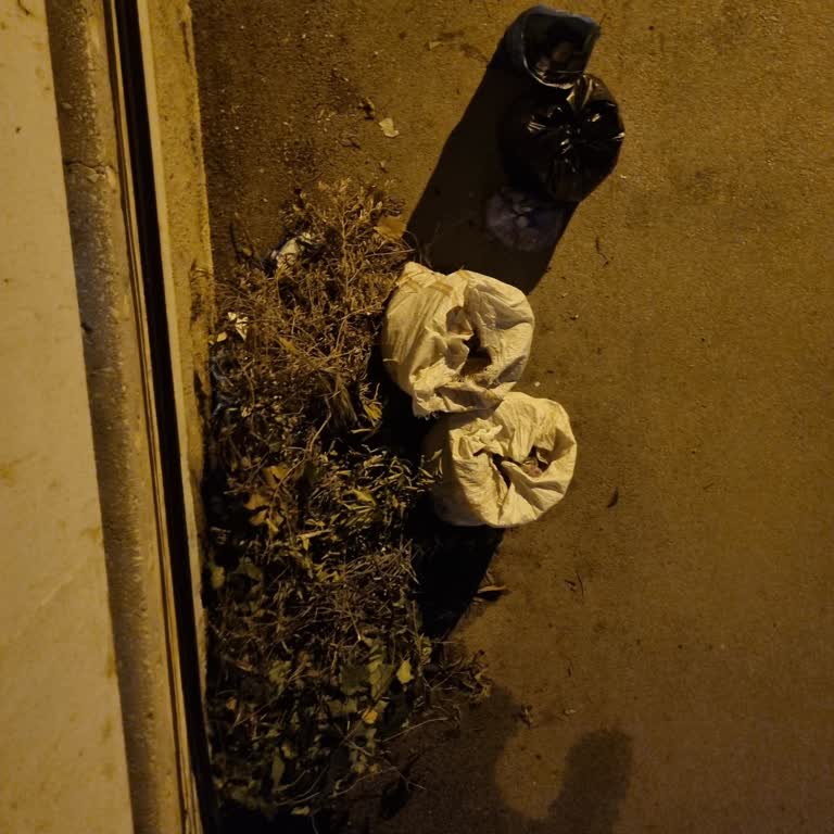 Moloz Ve Çöp Yığınının Acil Kaldırılması Talebi
