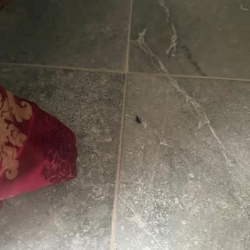 Hijyen Ve Temizlikte Kabus: Golden Beach Bodrum'da Kat Kat Kötü Deneyim
