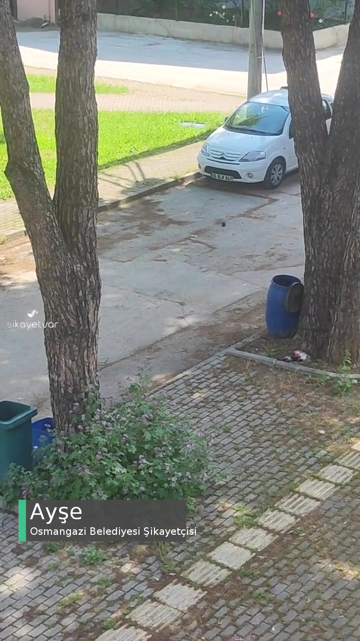 Osmangazi Belediyesi Bayram Temizliği Yapılsın Sokaklara videonun kapak resmi